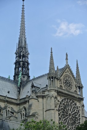 DSC_0571